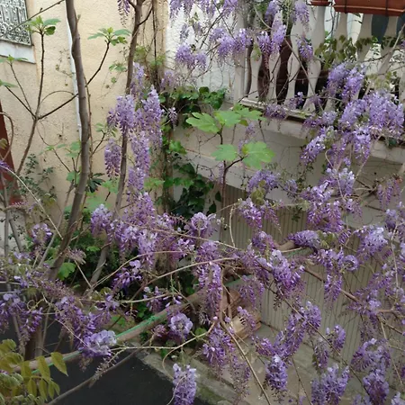 Feriehus La Belle Des Remparts Sérignan